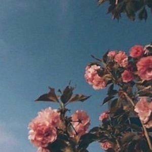 Meet your Posher, Alia